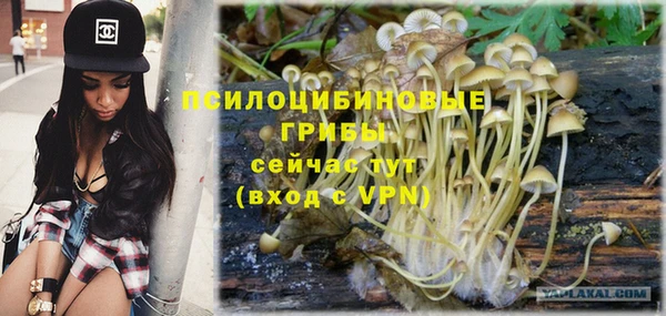 тгк Армянск
