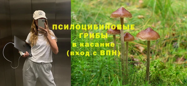 СК Аркадак