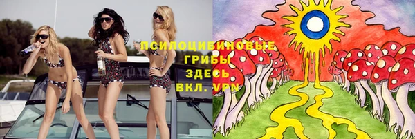СК Аркадак