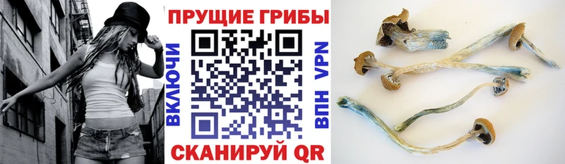 Псилоцибиновые грибы мухоморы  Боровск 
